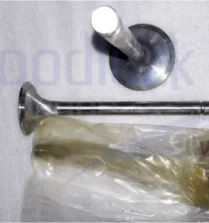Aux Engine Spare