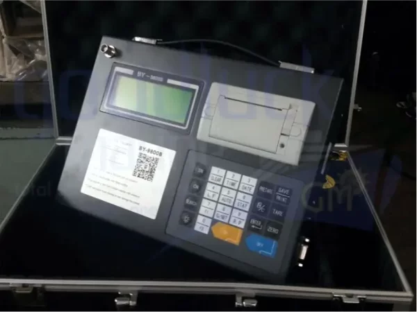 Crane Scale