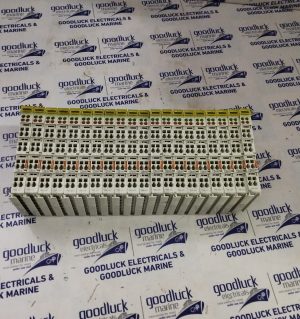 Wago 750-421 2-Channel Digital Input Module
